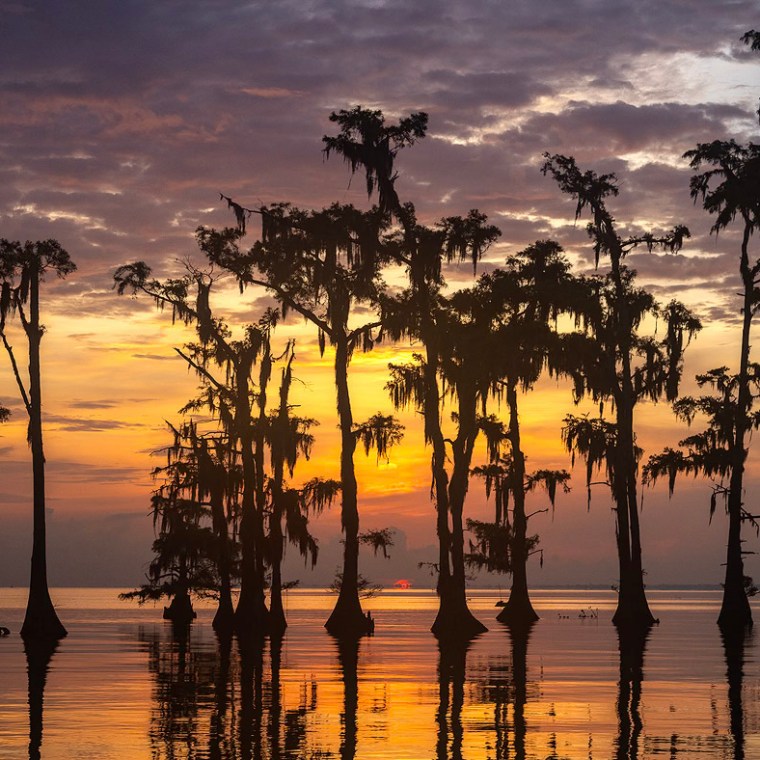 new orleans swamp photo workshop