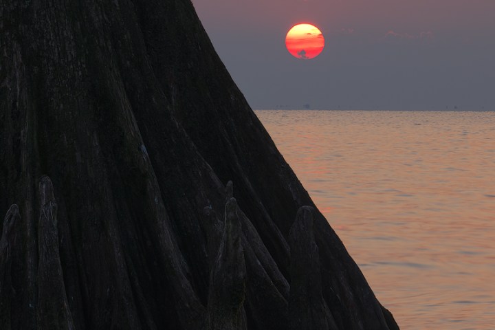 sunrise swamp photography tour