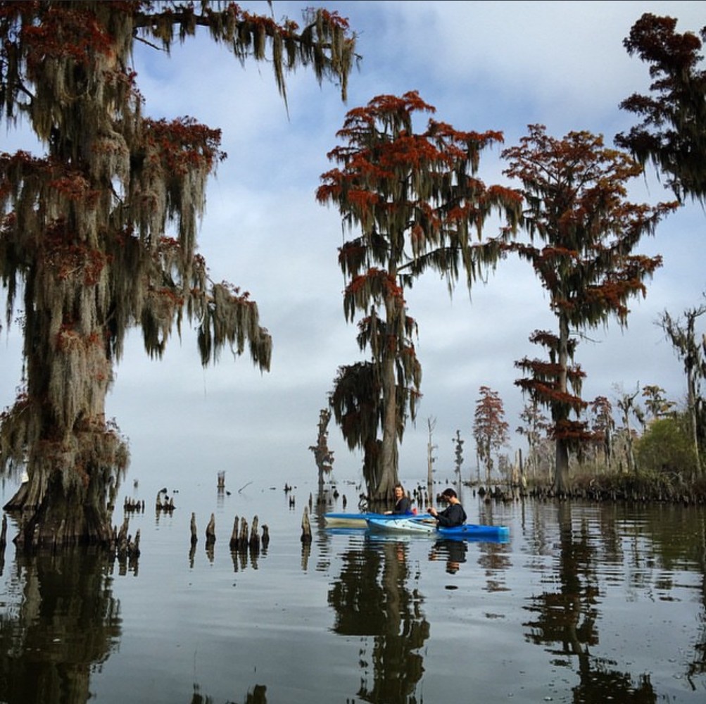 fall on a kayak swamp tour surrounded by cypress trees with draped moss.