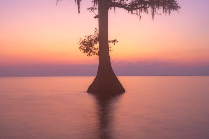 Manchac Sunrise Photo Tour Swamp