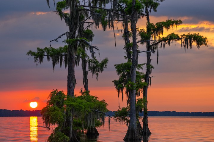 summer sunset swamp photography
