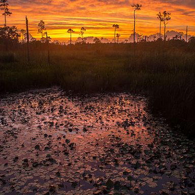 A brilliant sunset over Louisiana