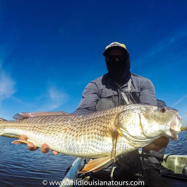 redfish charter