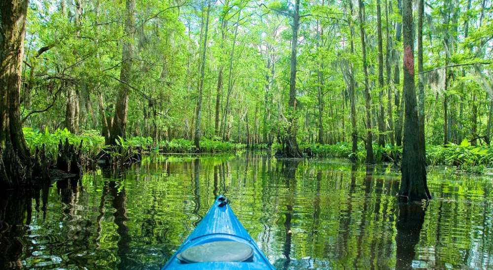 kayak looking out at the bayou in New Orleans