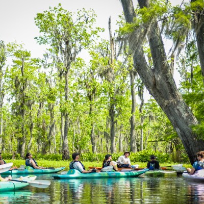 Swamp Kayaking Tours