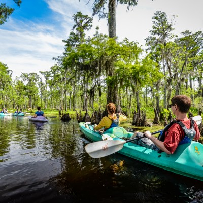 kayakers in a swamp