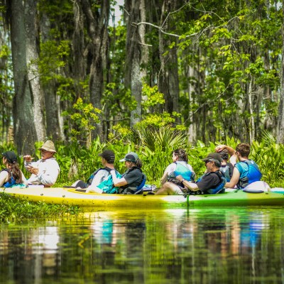 kayakers in a swamp
