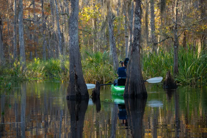 kayak swamp photography