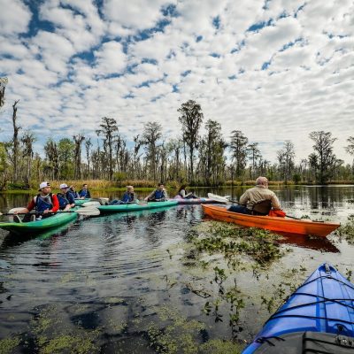 A group listening to their tour guide on one of Louisiana Wild Tours in New Orleans