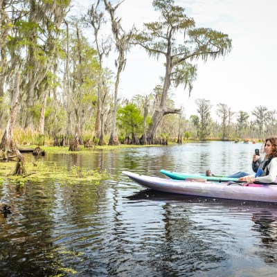 A woman taking a picture of an alligator from her kayak.