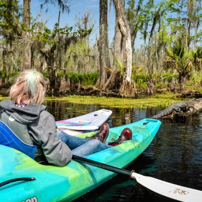 A group of two women watching an alligator from their kayaks in New Orleans.