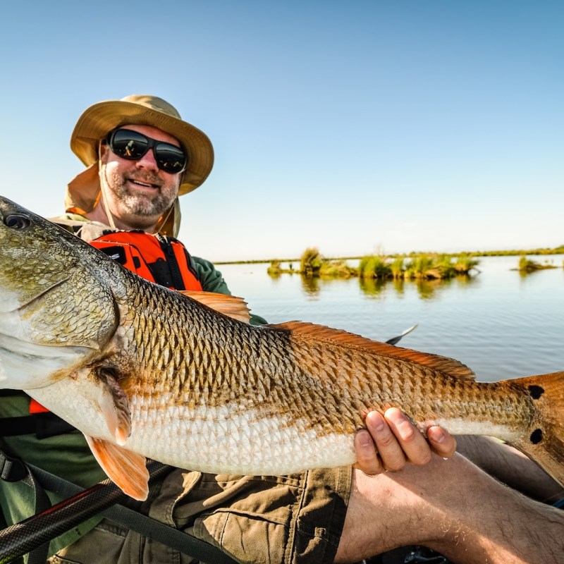 A man showing a giant fish to the camera
