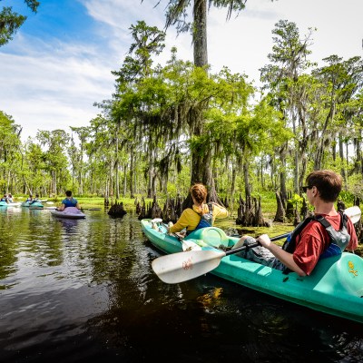 A group of kayakers during the Manchac Magic Tour in New Orleans