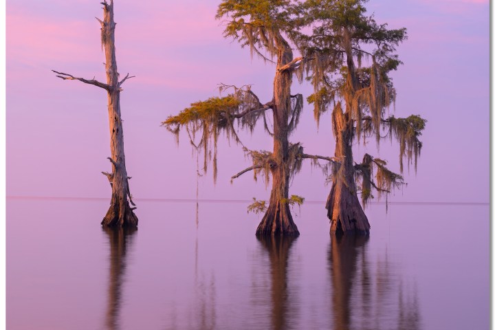 swamp photography tour