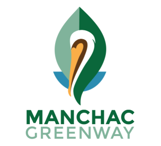 kayak, kayak tours, kayak swamp tours, new orleans swamp tours, kayaking in new orleans