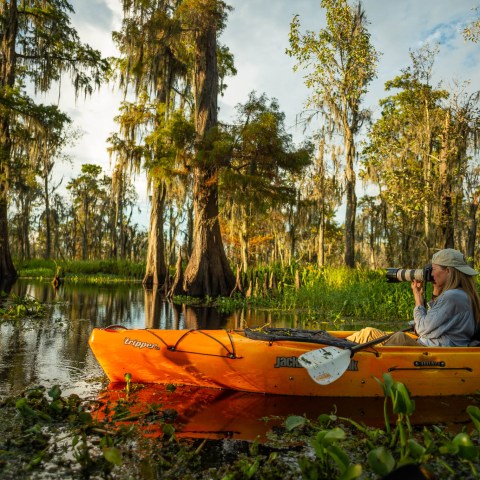 a group of kayakers on a Swamp Photography tour
