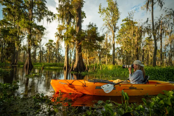 a group of kayakers on a Swamp Photography tour