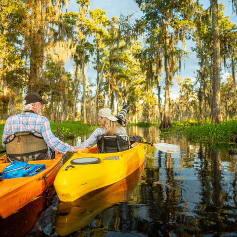kayak swamp photo tour