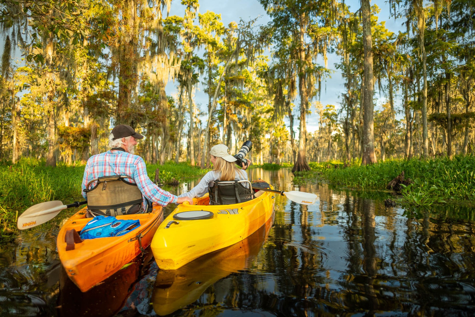 Photographing the swamp by kayak kayak swamp photo tour