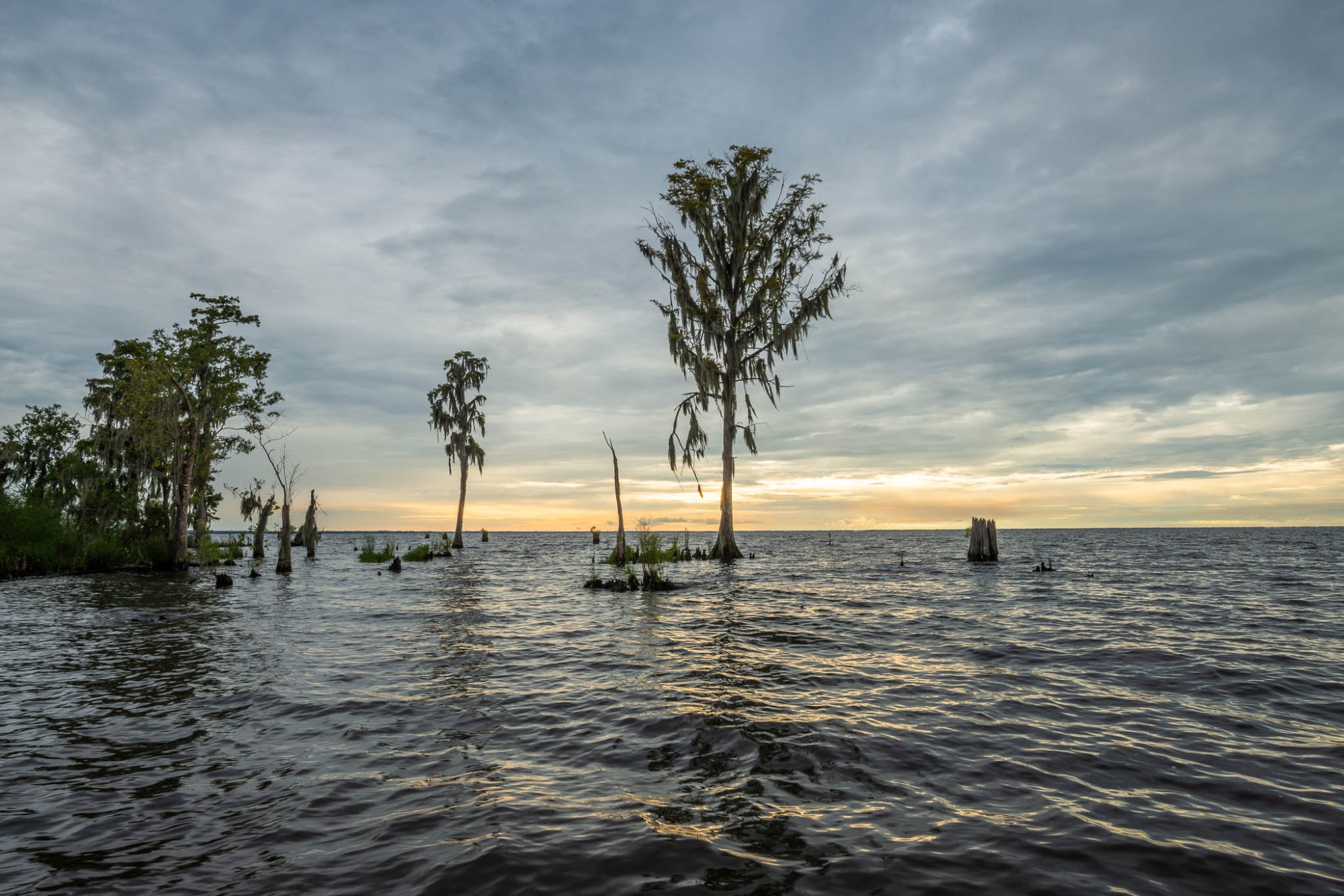 kayak, kayak tour, kayaking, new orleans kayak tour, kayak photo tour, photo workshop