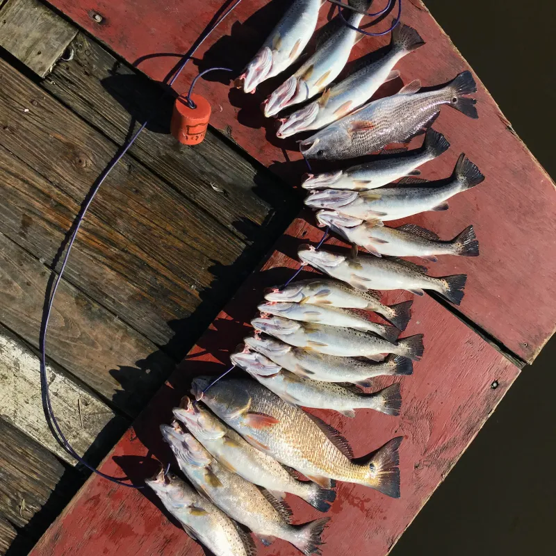 kayak, kayak fishing