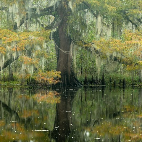 daily kayak photo tour