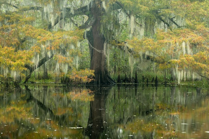 daily kayak photo tour