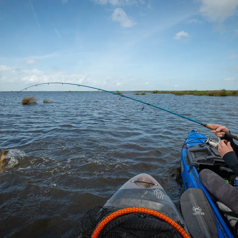 kayak, kayak tour, kayak fishing, kayak redfishing, new orleans kayak fishing, kayak swamp tours, new orleans kayak swamp tours