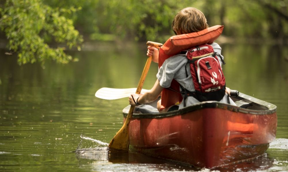 Why Swamp Kayaking Tours Are Better Than Boat Tours