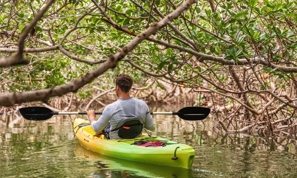 The Health Benefits of Kayaking