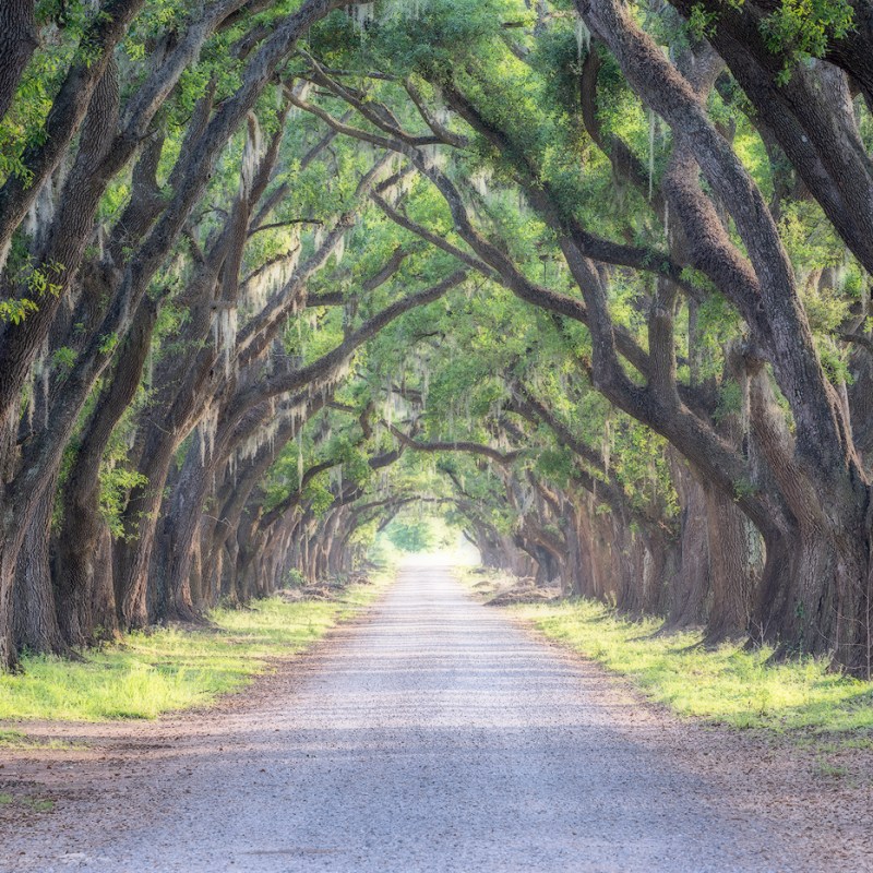 plantation and kayak tour