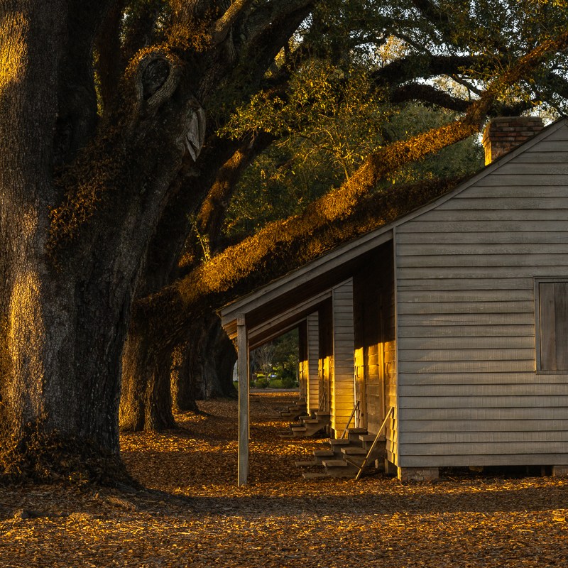oak alley, plantation, plantation country