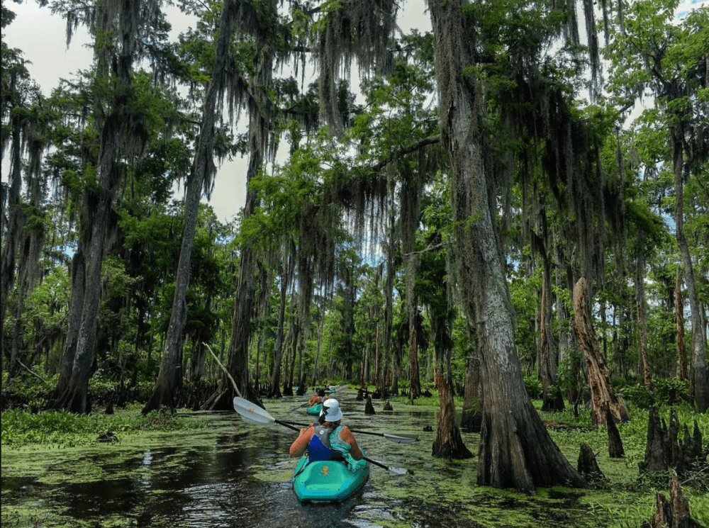 what is the best kayak tour in New Orleans