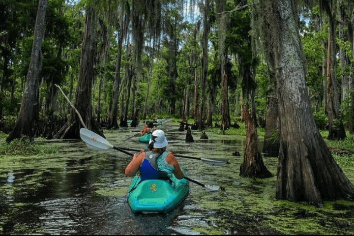 extended maurepas kayak tour