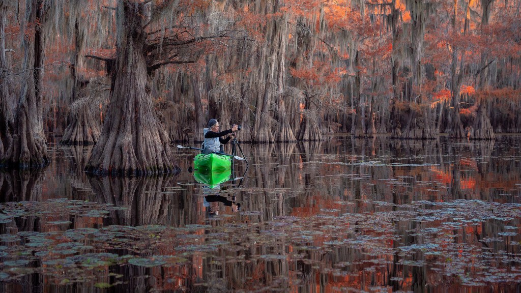 kayak, kayak photography, swamp photography
