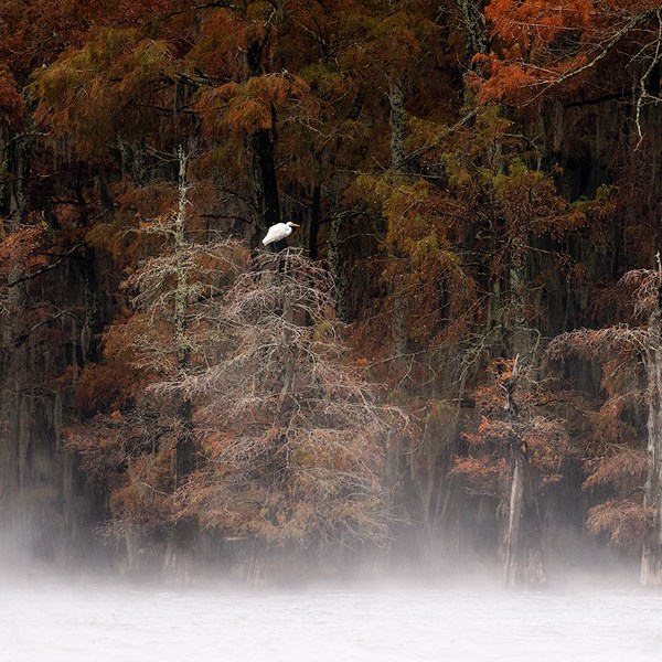 a waterfall in a forest