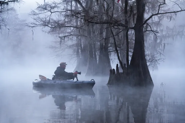 cypress swamp photo tour