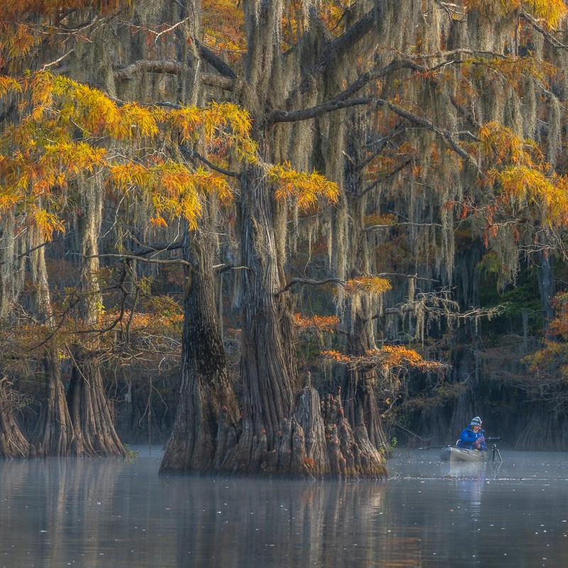cypress swamp workshop mist