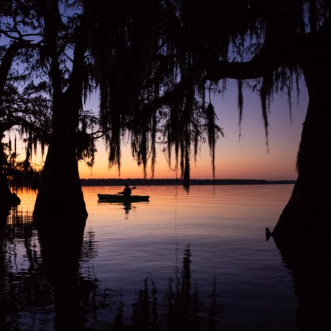a sunset over a body of water next to a tree