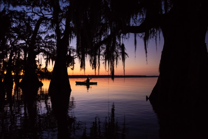 a sunset over a body of water next to a tree