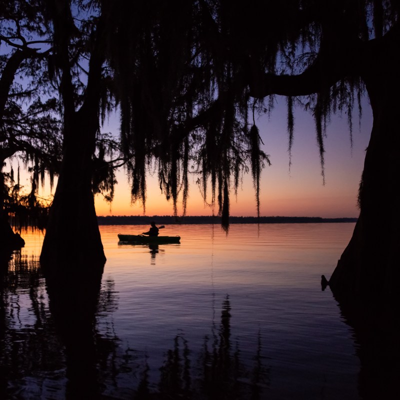 a sunset over a body of water next to a tree
