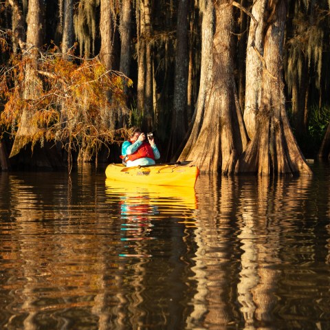 shooting photography in a cypress swamp