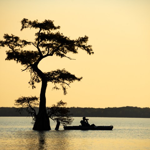 cypress sunset photography kayaking