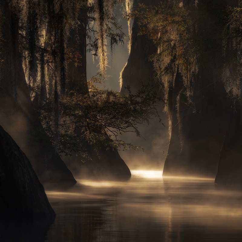 epic light on the bayou